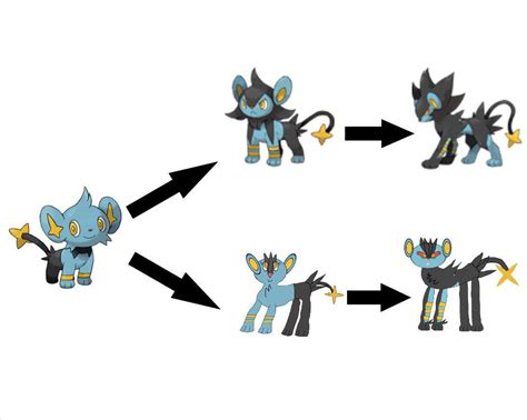 where does shinx evolve